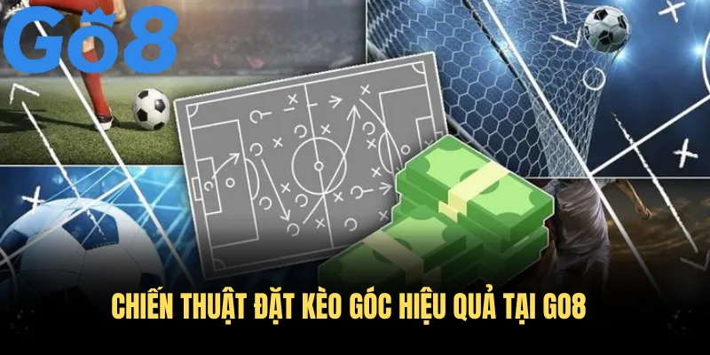 Chiến thuật đặt kèo góc hiệu quả tại Go8 dựa trên phân tích kỹ lưỡng