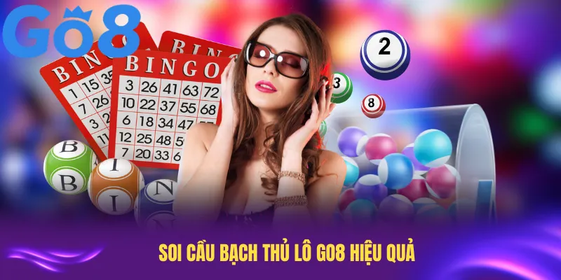 Soi Cầu Bạch Thủ Lô