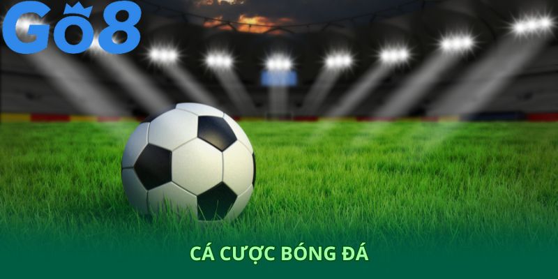 Cá cược bóng đá Go8