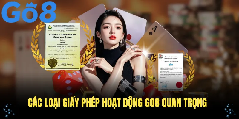 Các loại giấy phép hoạt động Go8 quan trọng