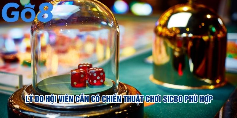 Lý do hội viên cần có chiến thuật chơi sicbo phù hợp