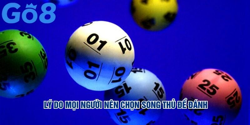 Lý do mọi người nên chọn song thủ để đánh