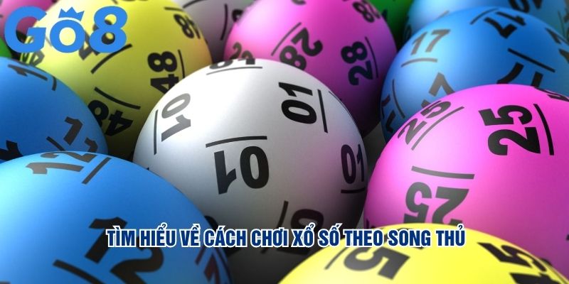 Tìm hiểu về cách chơi xổ số theo song thủ