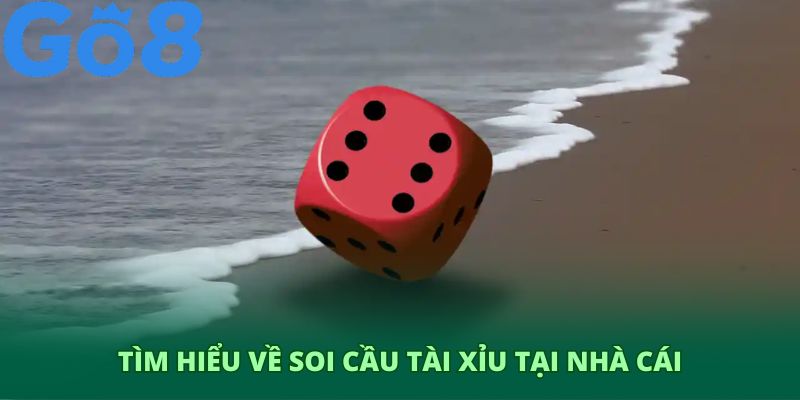 Tìm hiểu rõ hơn về soi cầu tài ở nhà cái